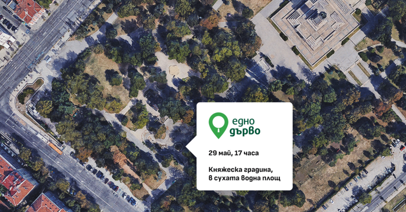 Включи се в картирането на софийските дървета — 29 май, Княжеска градина