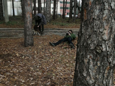 Картиране на дървета в парка към болница „Лозенец“ - София